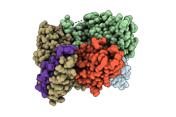 8XIR image