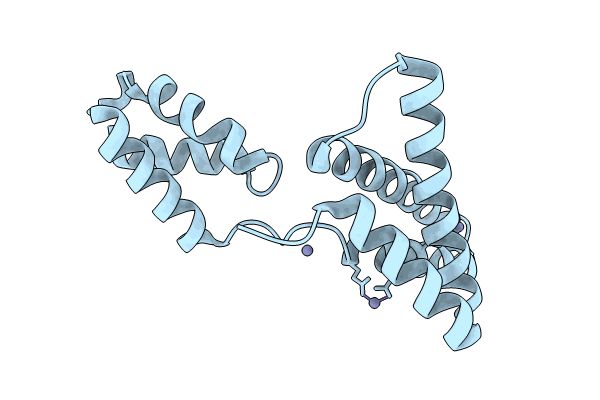 8XJG image