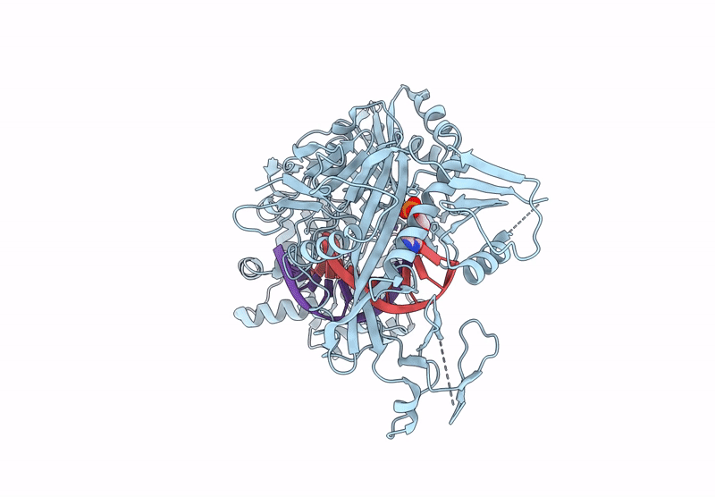 8XK4 image