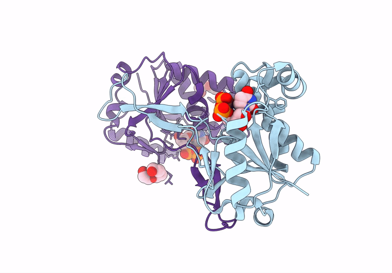 8XKD image
