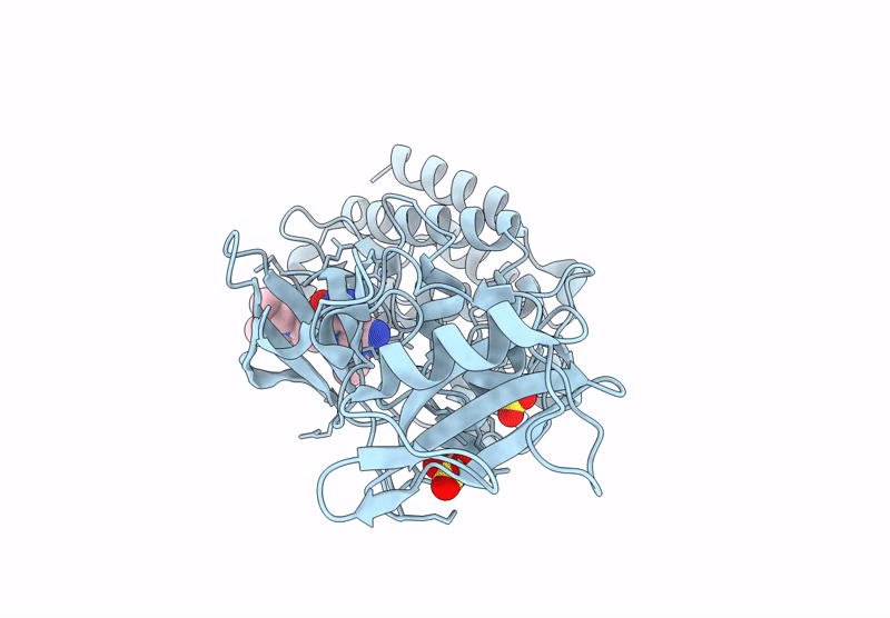 8XKP image