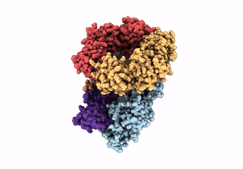 8XLA image