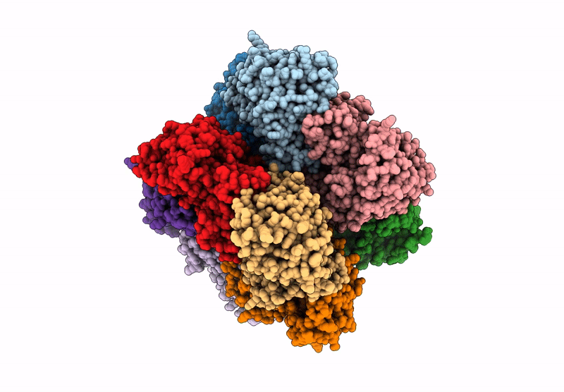 8XLJ image