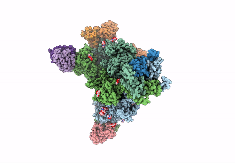8XLK image