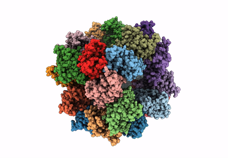 8XLL image