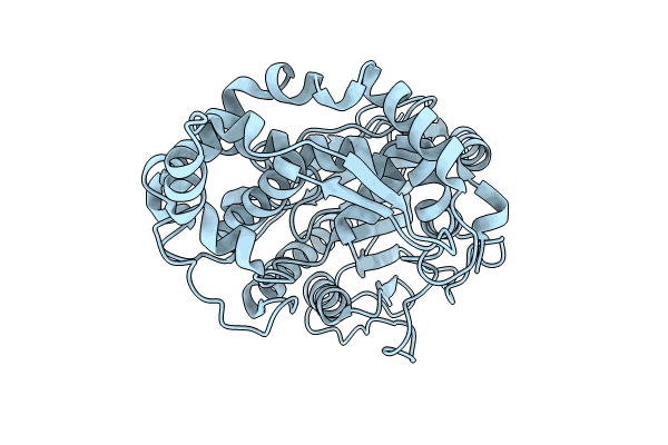 8XM2 image