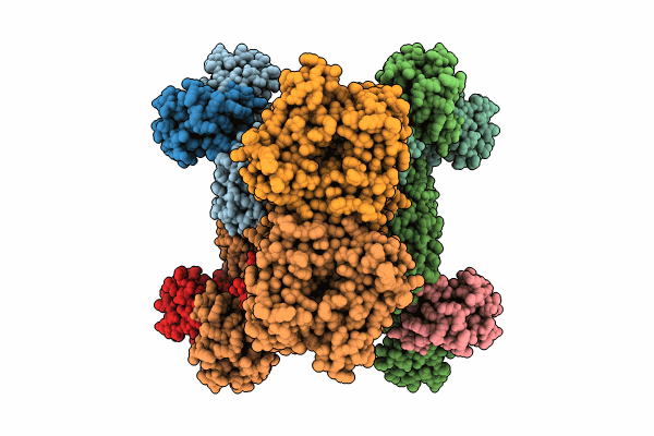 8XMH image