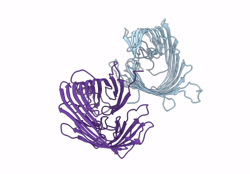 8XNB image