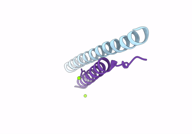 8XNE image