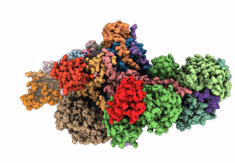 8XNL image