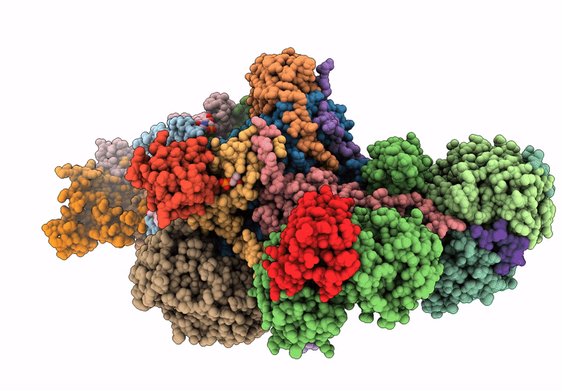8XNN image