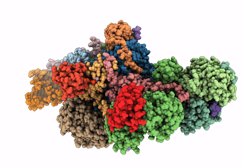 8XNP image