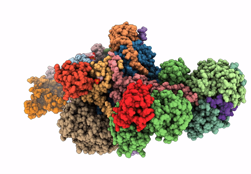 8XNR image
