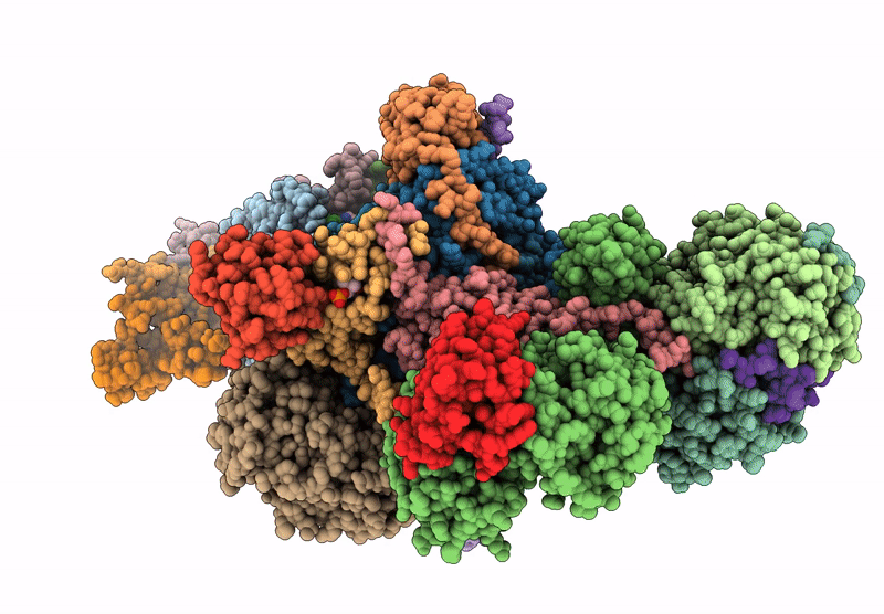 8XNS image