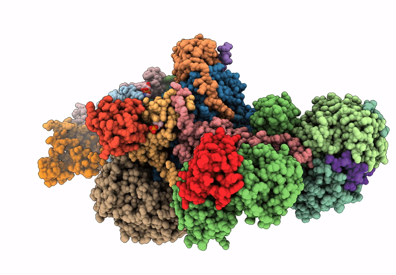 8XNT image