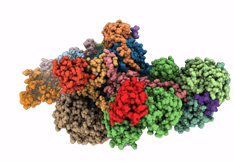 8XNU image