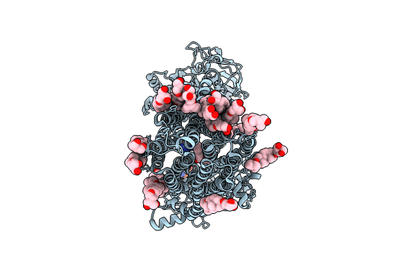 8XOM image