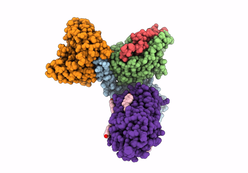 8XOR image
