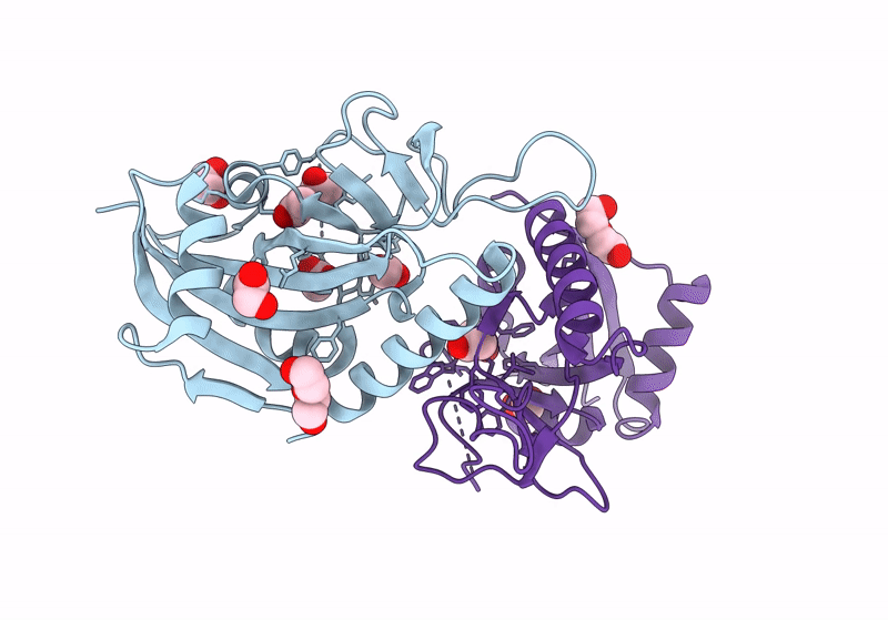 8XPX image