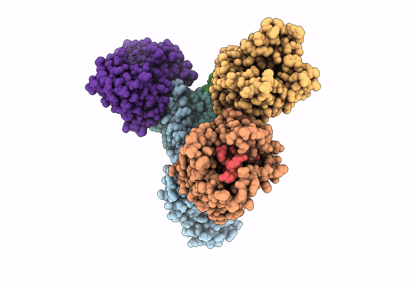 8XQE image