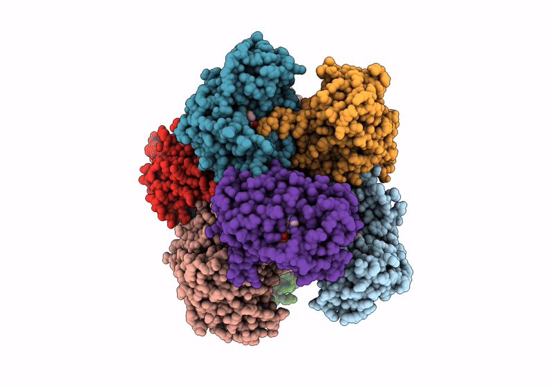 8XR4 image