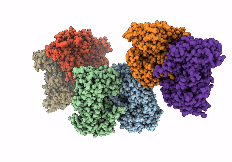 8XRT image