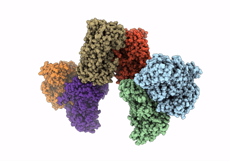 8XRX image