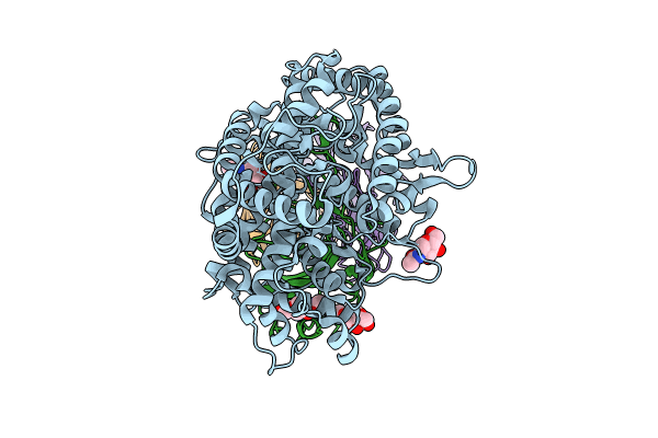 8XSF image