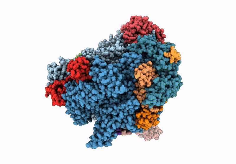 8XSO image