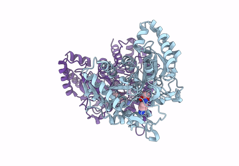 8XTB image