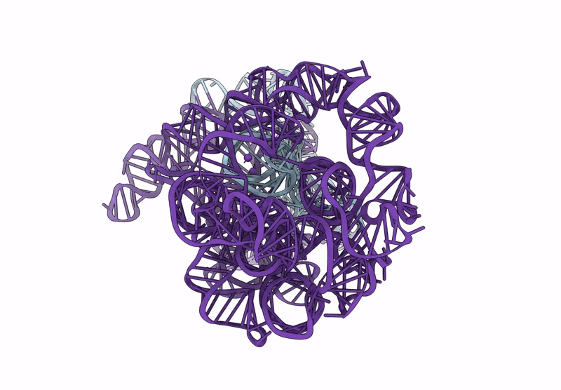 8XTR image