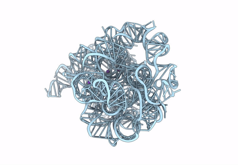 8XTS image