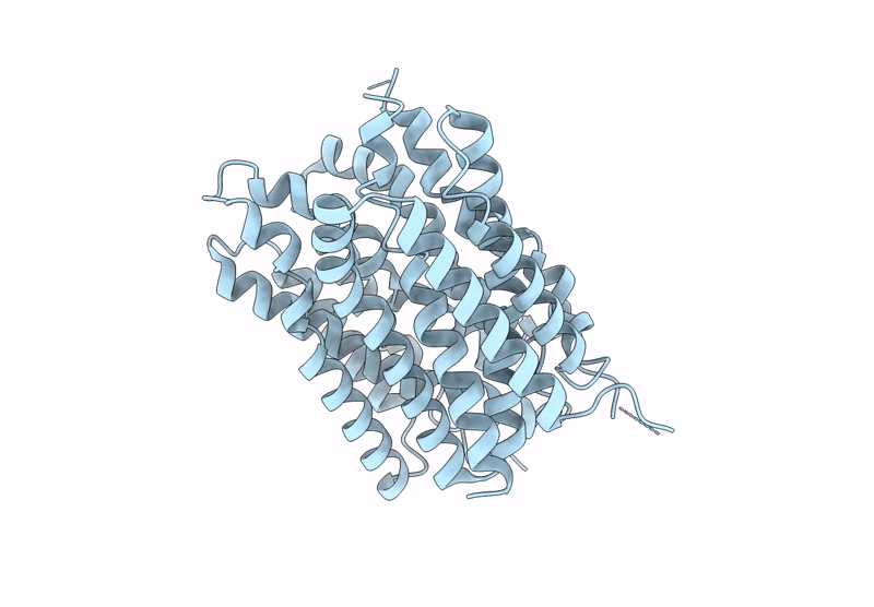 8XTX image