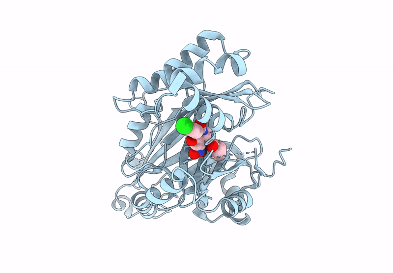 8XUE image