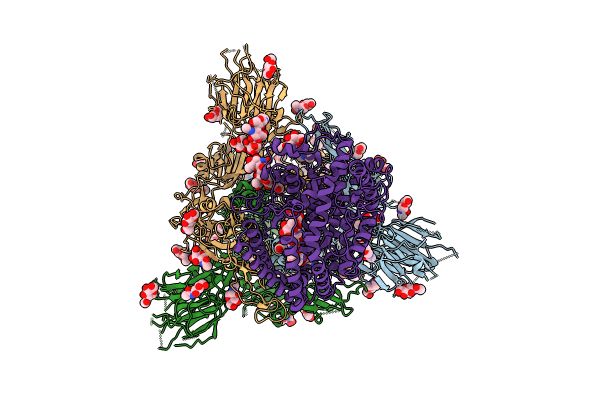 8XUZ image