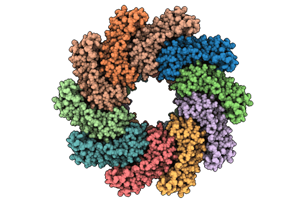 8XVD image