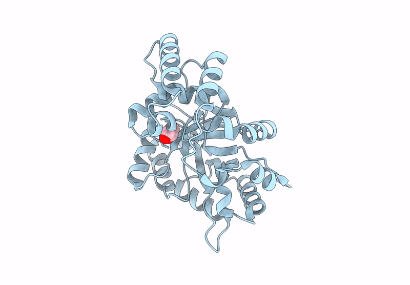 8XVO image