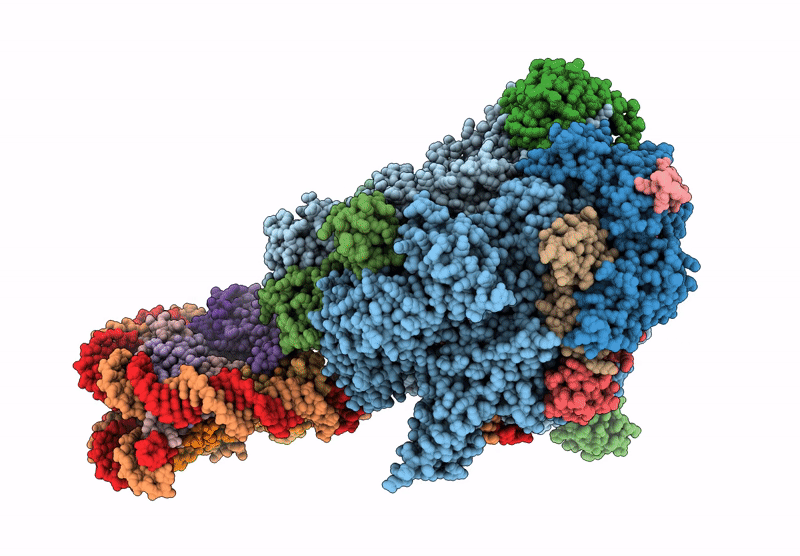 8XVS image