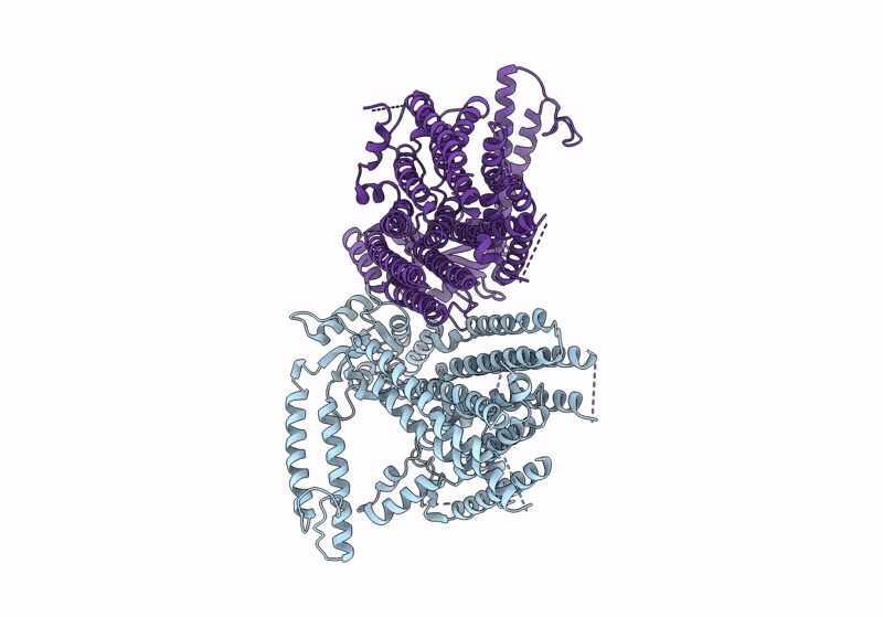 8XW2 image