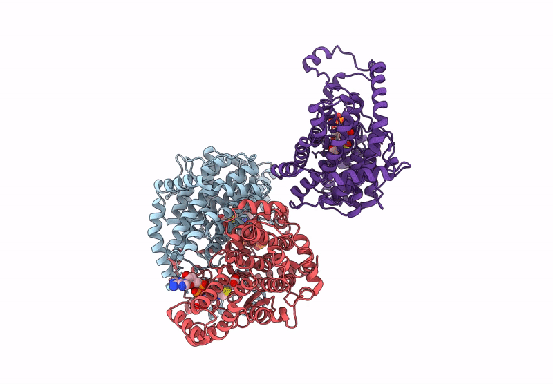 8XXE image