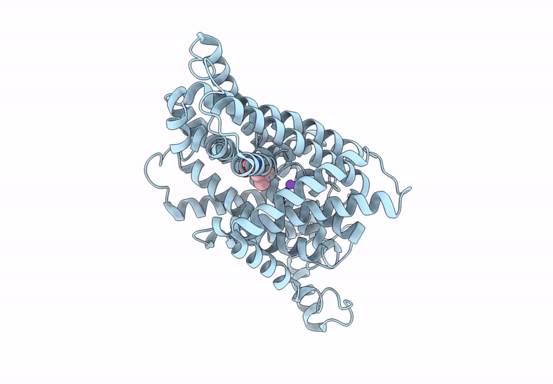 8XXI image
