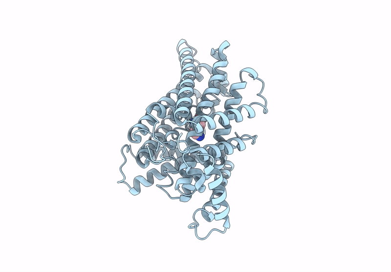 8XYJ image