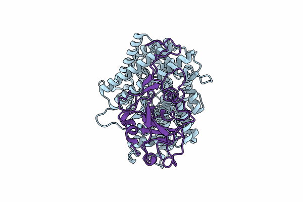 8XZB image