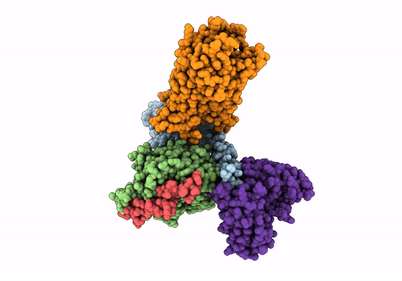 8XZI image