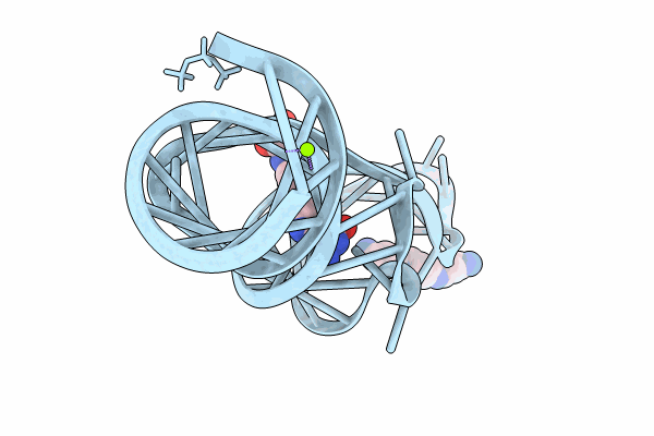 8XZW image