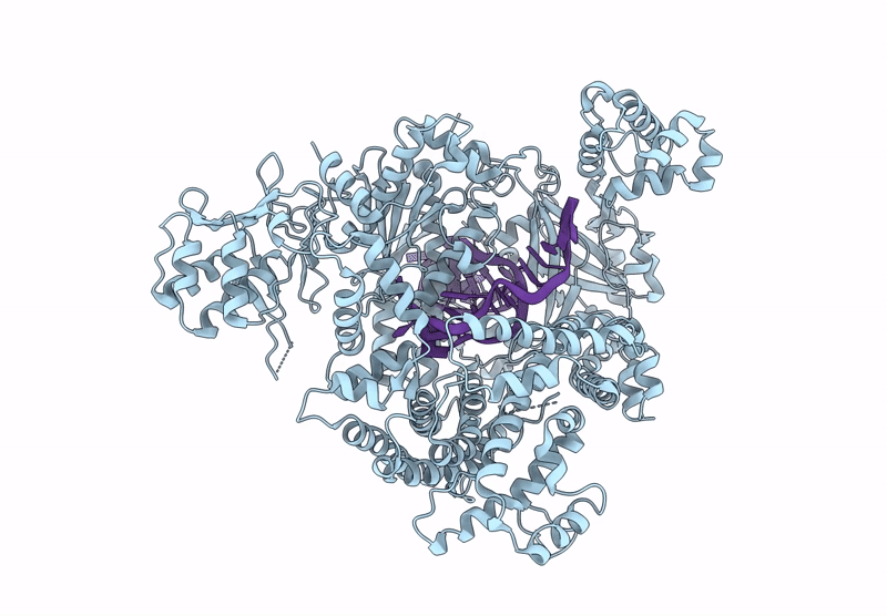 8Y03 image