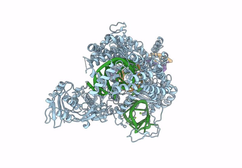 8Y0B image