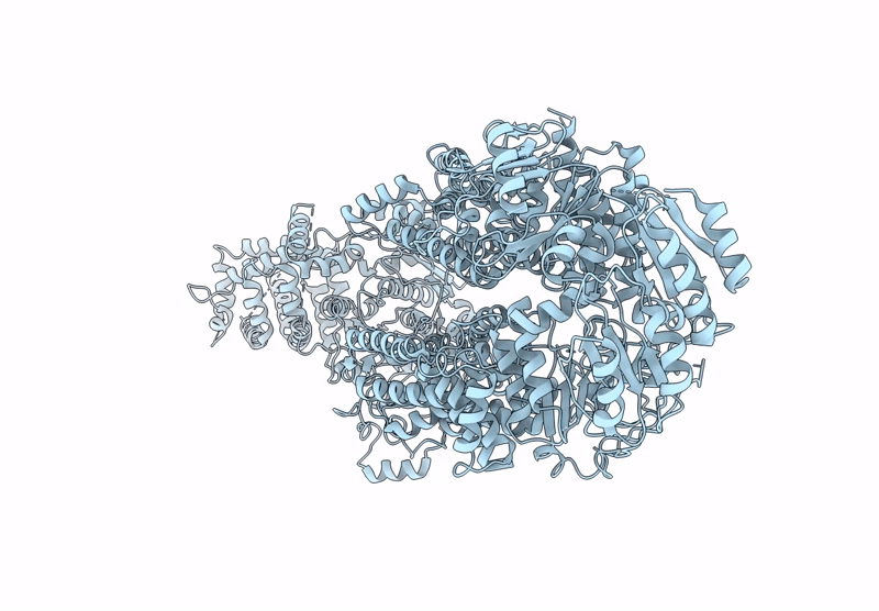 8Y1O image