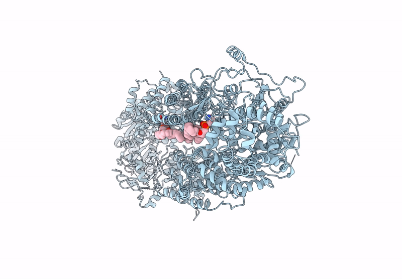 8Y1P image