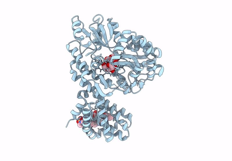 8Y20 image